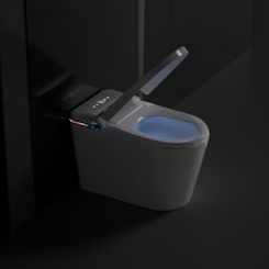 Vaso Sanitário Inteligente Vaso Sanitário de Luxo
